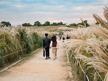 5.Haneul-Park-3.jpg