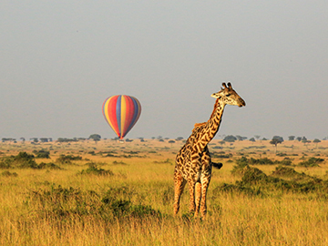 5.Masaai-Mara-National-Reserve-Kenya-2