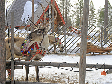 5.Santa-Claus-Village-2