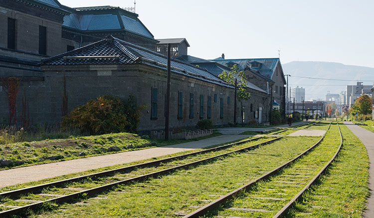 5.Temiya-Line-1.jpg
