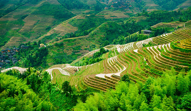 5.เขาเหยาซาน-Yaoshan-Mountain-1.jpg
