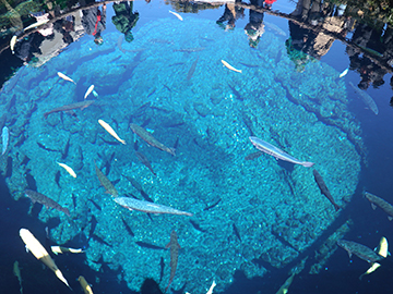 6-Oshino-Hakkai-Village-3.jpg