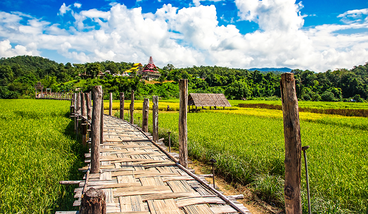 6.-สะพานไม้ไผ่ซูตองเป้-1
