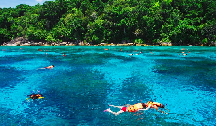 6. เล่นน้ำทะเลสีฟ้าใสที่เกาะไม้ท่อน