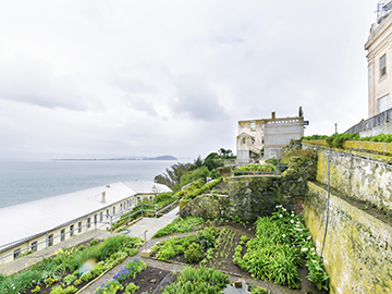 6.Alcatraz-Island-3.jpg