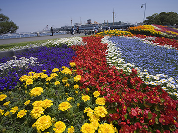 6.Yamashita-Park-3.jpg