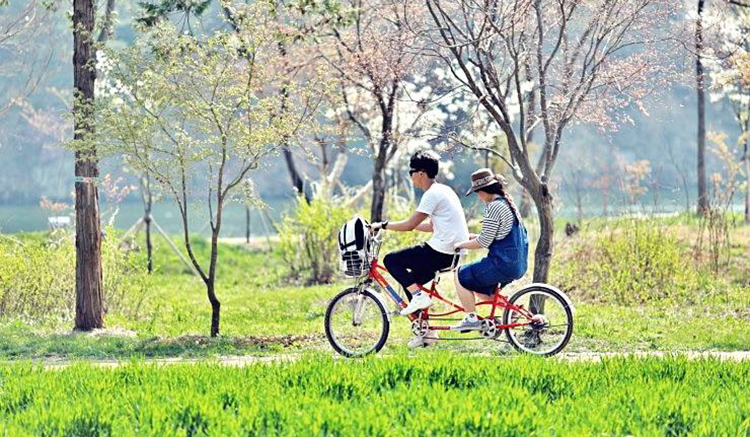 6.ฤดูใบไม้ผลิ-1