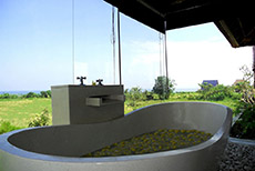 D'Sawah Villas_1