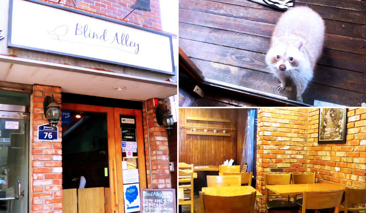 Blind Alley คาเฟ่ในกรุงโซล