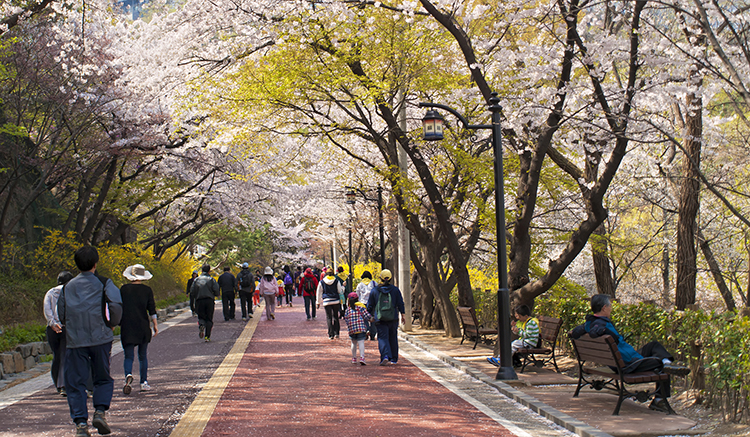 7-Yeouido-Park-2