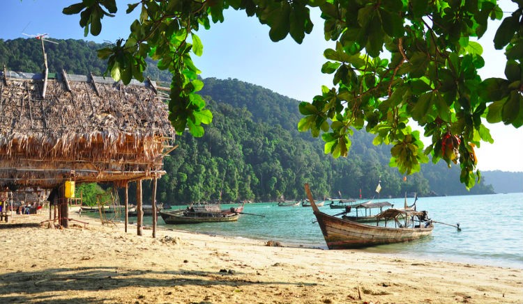 7. ทักทายฝูงปลานับร้อยที่หมู่เกาะสุรินทร์
