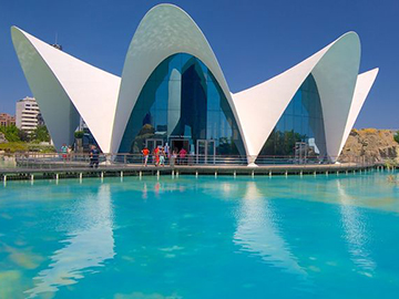 7.Oceanogràfic Valencia-2