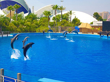 7.Oceanogràfic Valencia-3