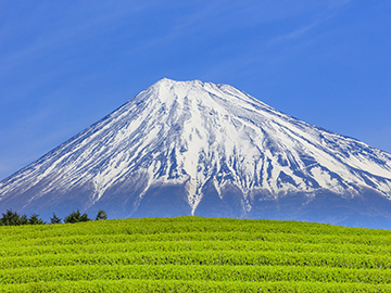 8-Obuchi-Sasaba-2.jpg