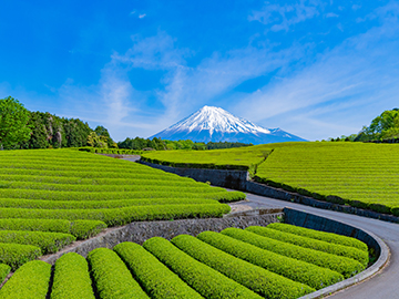 8-Obuchi-Sasaba-3.jpg