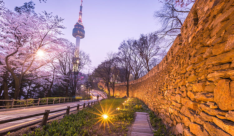 8.N-Seoul-Tower-1.jpg