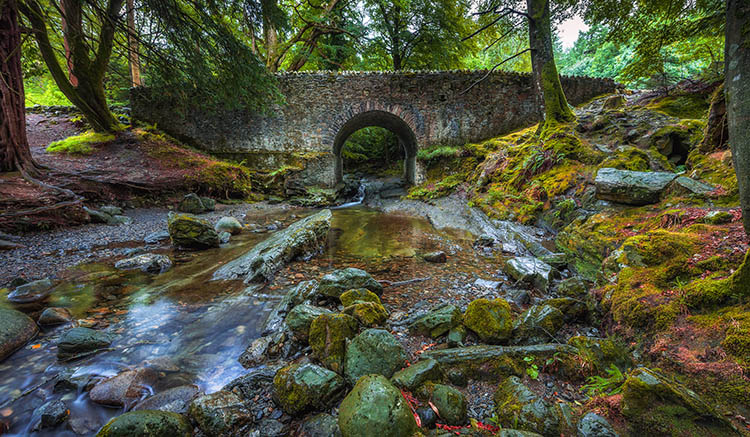 8.Tollymore-Forest-Park-1.jpg