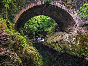 8.Tollymore-Forest-Park-2.jpg