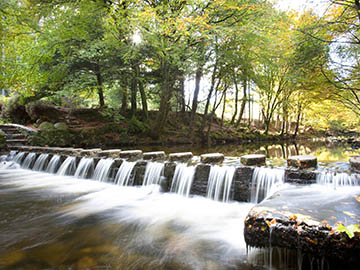 8.Tollymore-Forest-Park-3.jpg