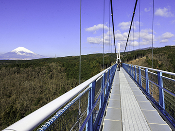 9-Mishima-Sky-Walk-3.jpg