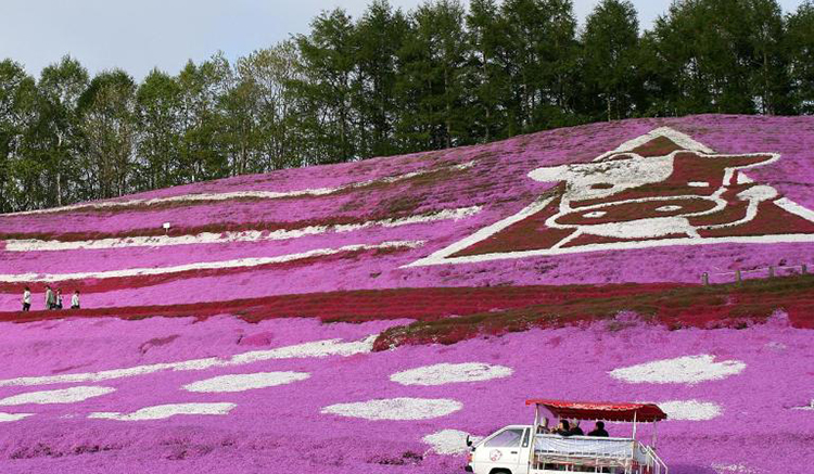 9-สวนฮิกาชิโมโกโตะ (Higashimokoto Park)