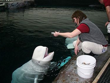 9.Georgia Aquarium-3