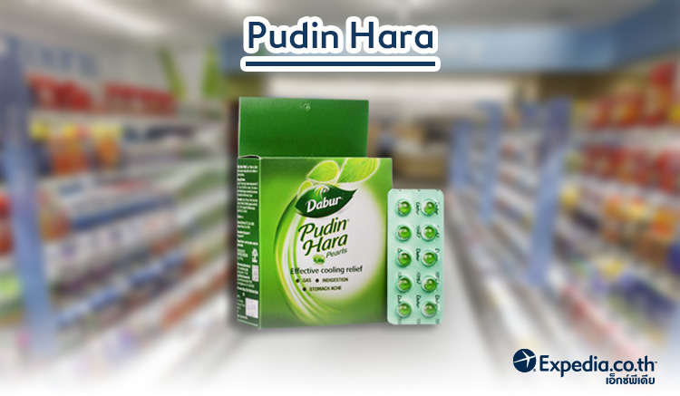 9.Pudin Hara