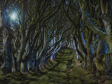9.The-Dark-Hedges-2.jpg