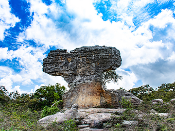 9.อุทยานแห่งชาติป่าหินงาม-จ.ชัยภูมิ-3