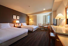 Air Terminal Hotel (3)