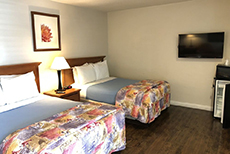 Alamo Inn & Suites (1)