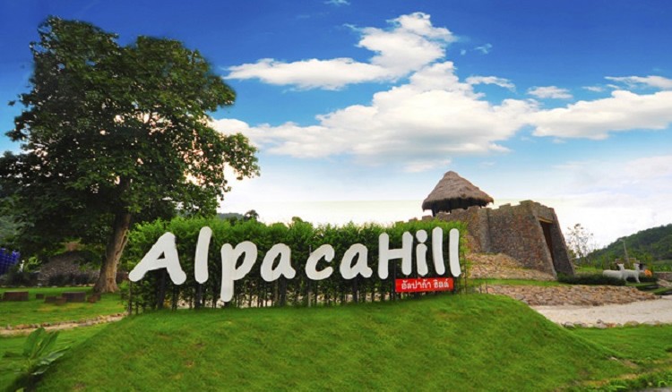 AlpacaHill