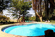 Amboseli Serena Safari Lodge-3