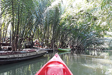 Baan Klangsuan Bang Korbua (2)