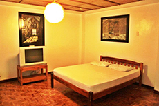 Balay de la Rama Bed & Breakfast-1