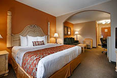 Best Western Plus Bass Hotel & Suites (1)