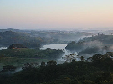 Chiang Rai Valley Resort @ Doi Hom Fha-4