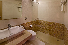 Clarks INN Hampi-3
