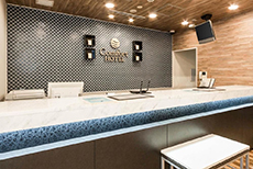 Comfort Hotel Tokyo Kanda (1)