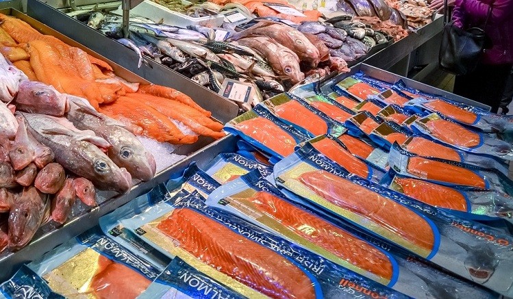 ตลาดปลา_Copenhagen’s_ประเทศเดนมาร์ก