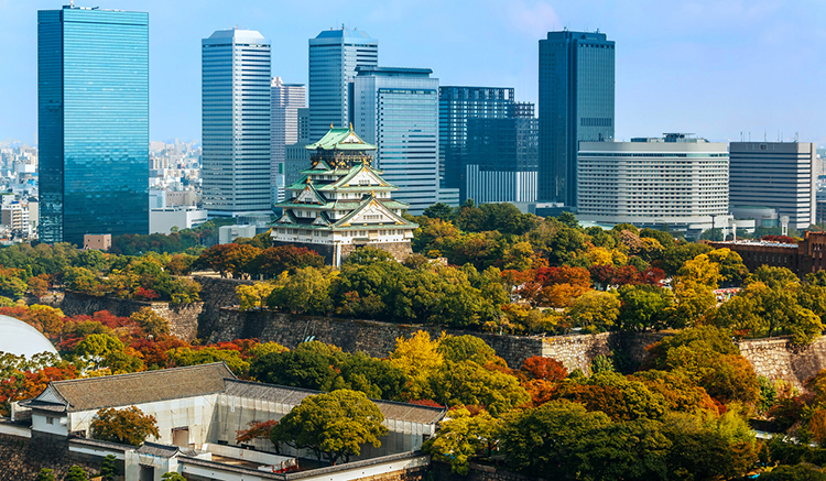 Day4-ปราสาทโอซาก้า-Osaka-Castle-01.jpg November 22