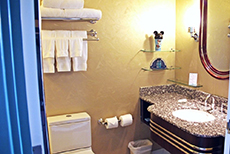 Disney’s Hollywood Hotel-2