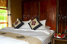 Eco Palms House - Sapa Retreat-1