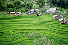 Eco Palms House - Sapa Retreat-3