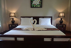 Fern Resort-1