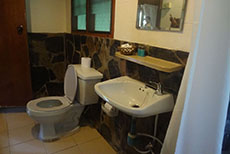 Fern Resort-2
