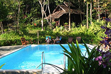Fern Resort-3