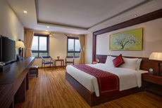 Freesia Hotel-1