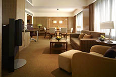 Grand Hyatt Singapore (3)