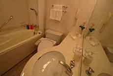 HOTEL PLAZA KOBE (2)